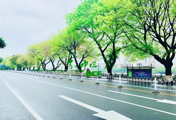 广东韶关京式护栏工程