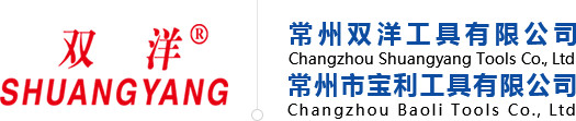 常州双洋工具有限公司 Logo