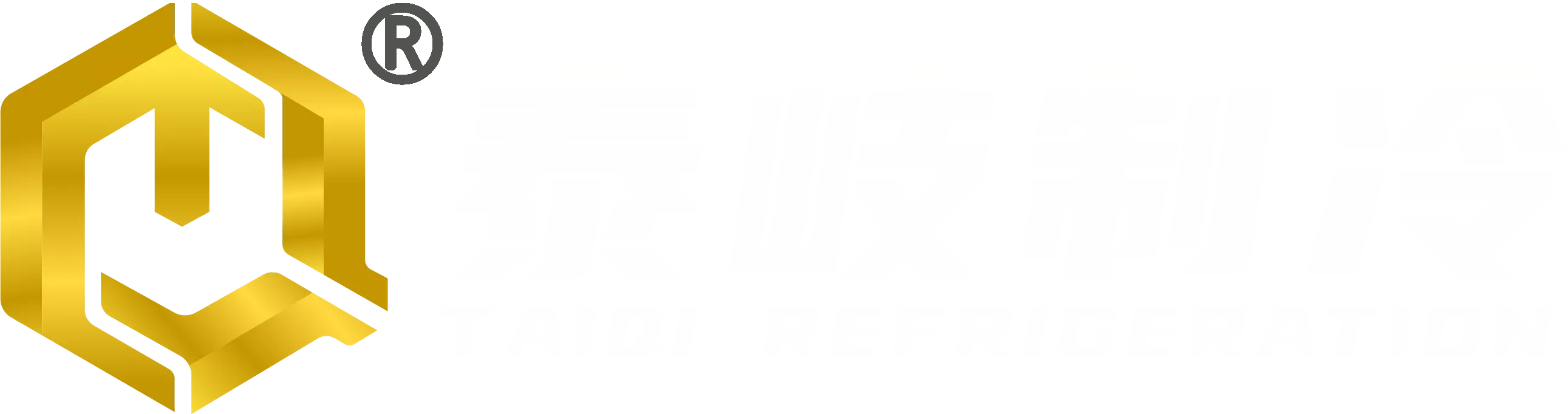 常州泰岐制冷科技有限公司 Logo